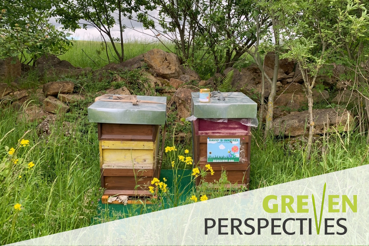 Bee Protection